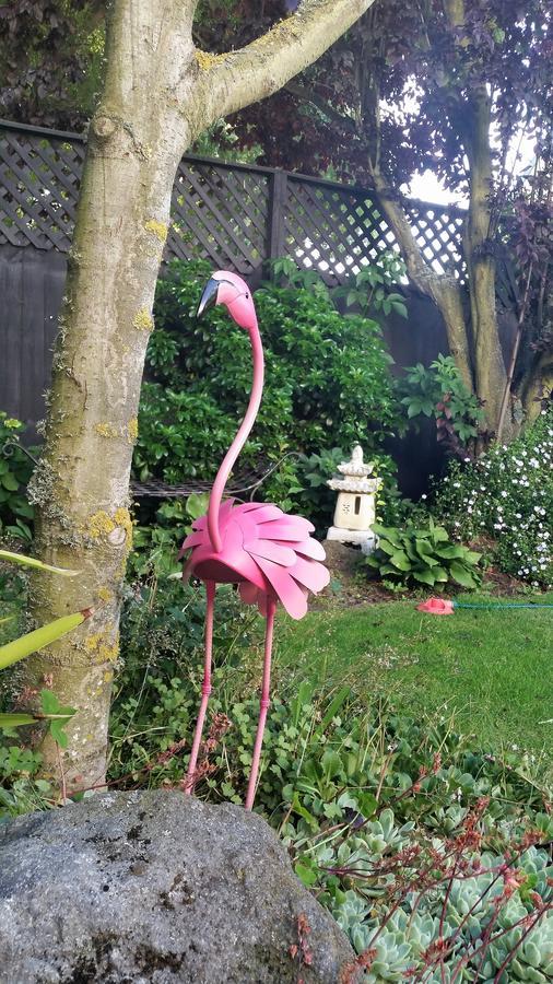 Berni'S Boutique Bnb Christchurch Eksteriør bilde