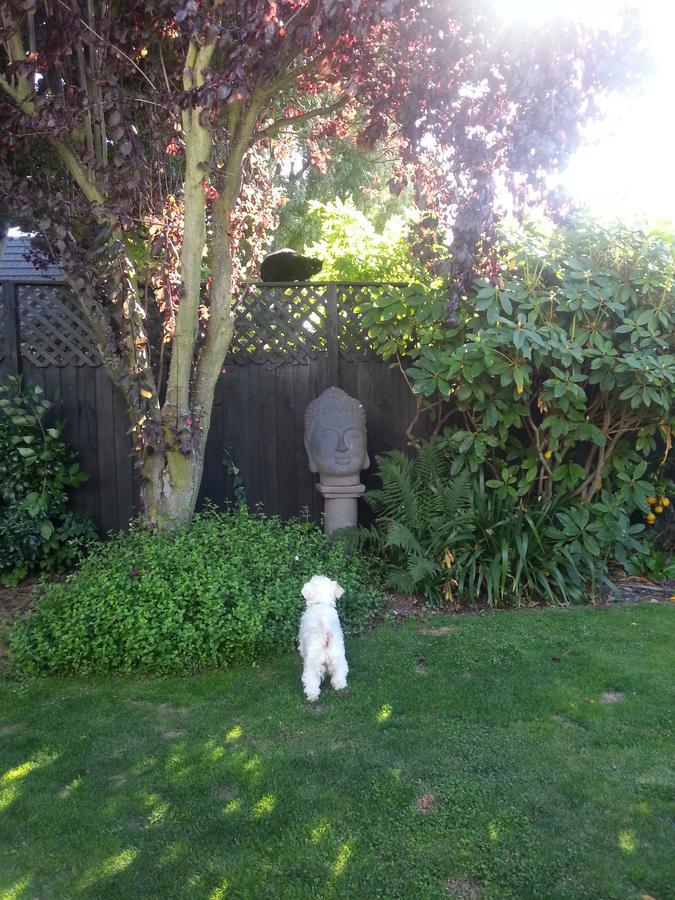 Berni'S Boutique Bnb Christchurch Eksteriør bilde