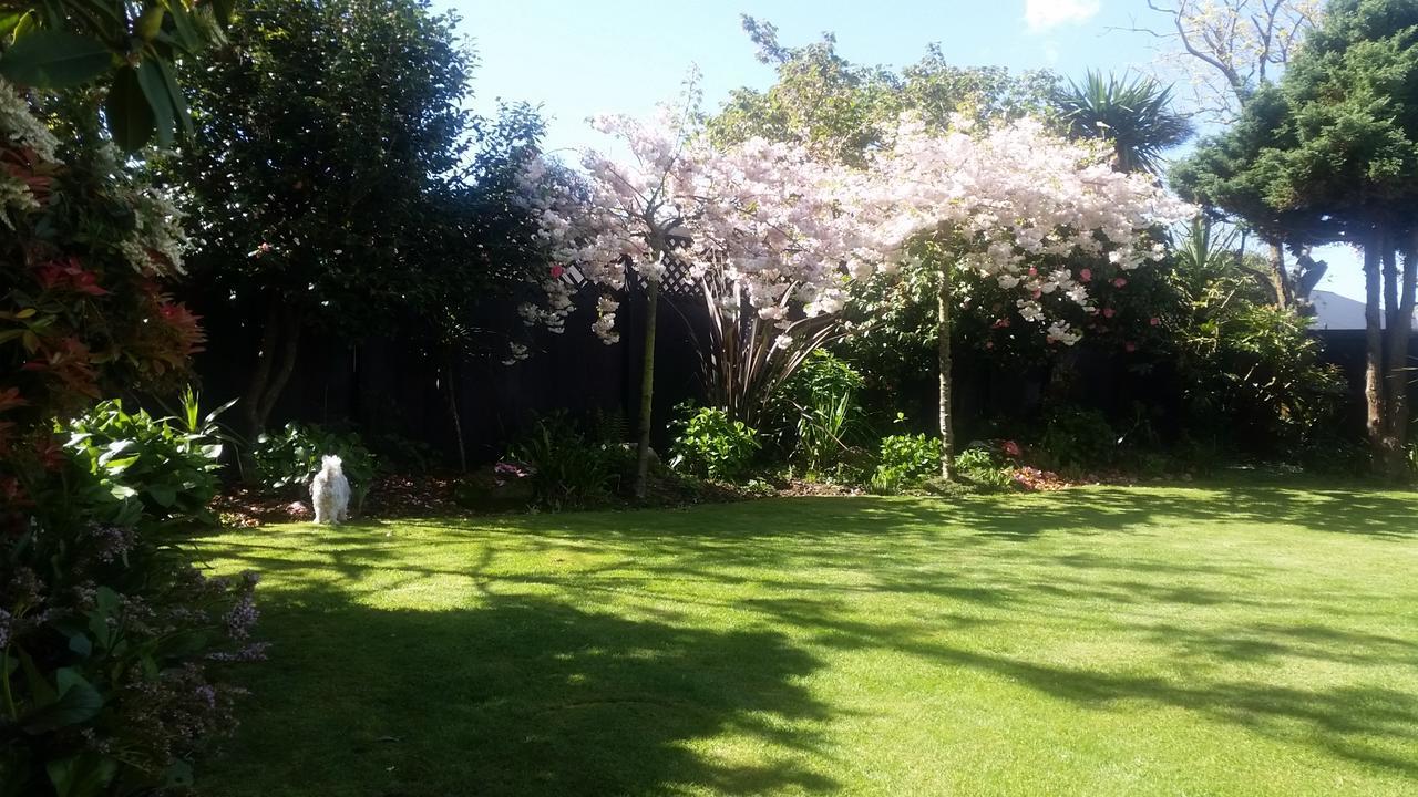 Berni'S Boutique Bnb Christchurch Eksteriør bilde